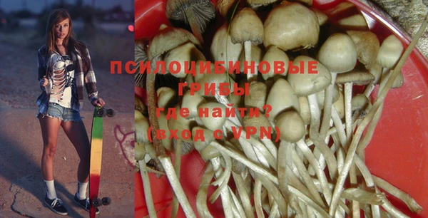 гидра Армянск