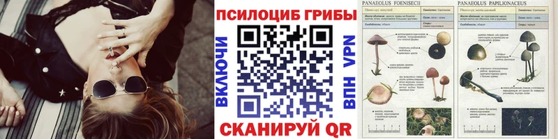 Галлюциногенные грибы Psilocybe  Купить  Белоярский 